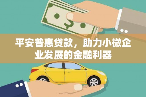 丰宁平安普惠贷款，助力小微企业发展的金融利器