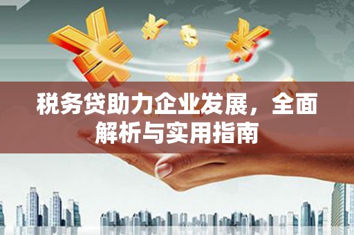 丰宁税务贷助力企业发展，全面解析与实用指南