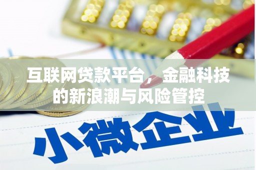 丰宁互联网贷款平台，金融科技的新浪潮与风险管控