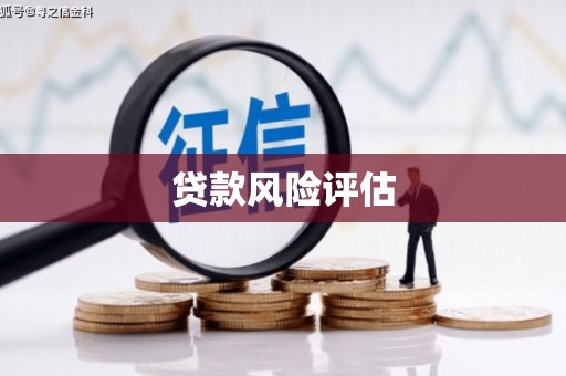 丰宁贷款风险评估