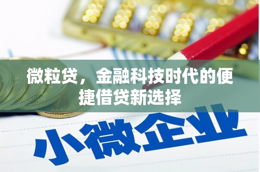 丰宁微粒贷，金融科技时代的便捷借贷新选择
