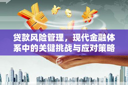 丰宁贷款风险管理，现代金融体系中的关键挑战与应对策略