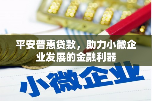 丰宁平安普惠贷款，助力小微企业发展的金融利器