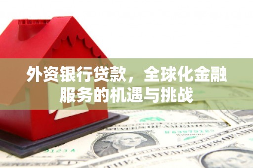 丰宁外资银行贷款，全球化金融服务的机遇与挑战