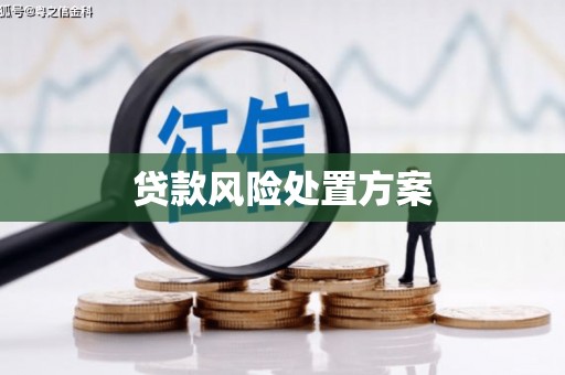 丰宁贷款风险处置方案