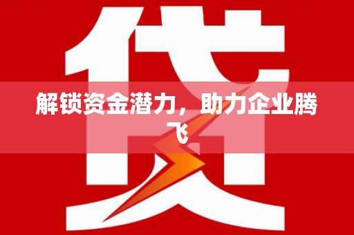 丰宁解锁资金潜力，助力企业腾飞