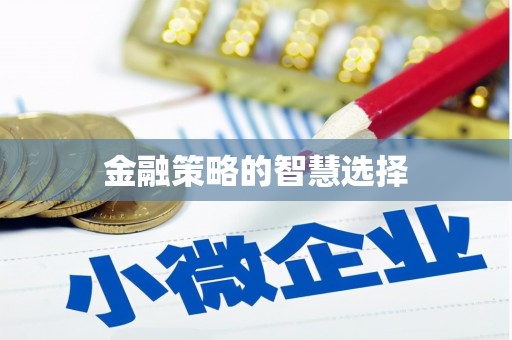 丰宁金融策略的智慧选择