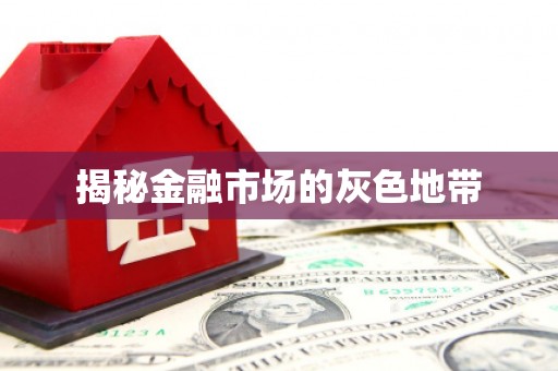 丰宁揭秘金融市场的灰色地带