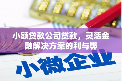 丰宁小额贷款公司贷款，灵活金融解决方案的利与弊